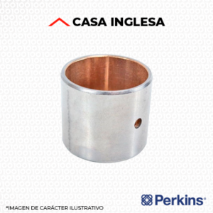 BUJES BIELA - 31134123