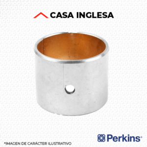 BUJES BIELA - 31134131