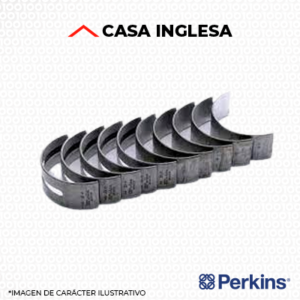 CASQUETES BANCADA STD - T427334