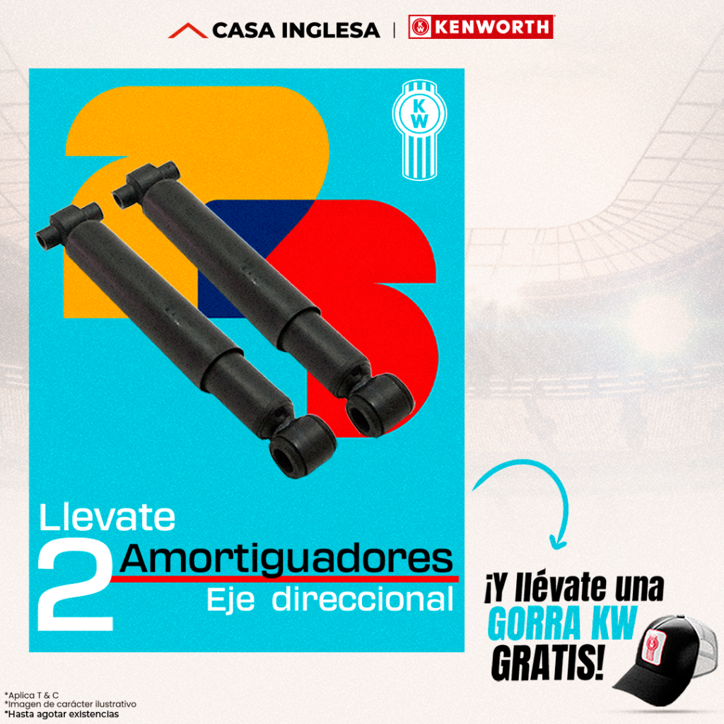 Amortiguador 1